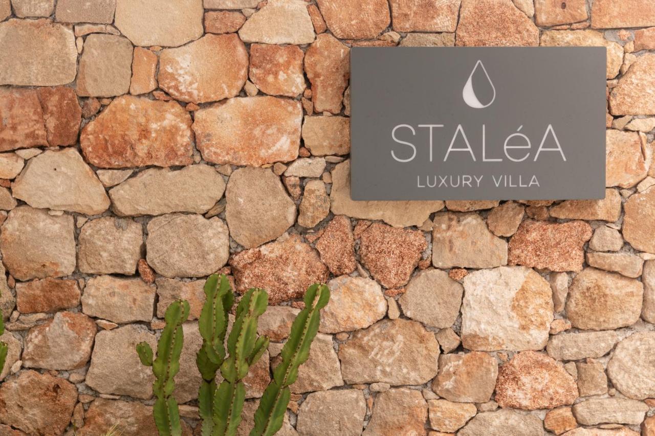 Stalea Luxury Villa Pefki  ภายนอก รูปภาพ